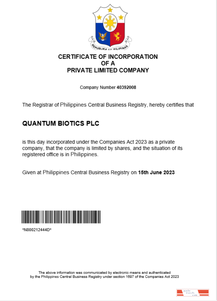 Philippines business registration certificate Word and PDF template